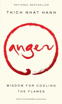 Book cover for Anger
